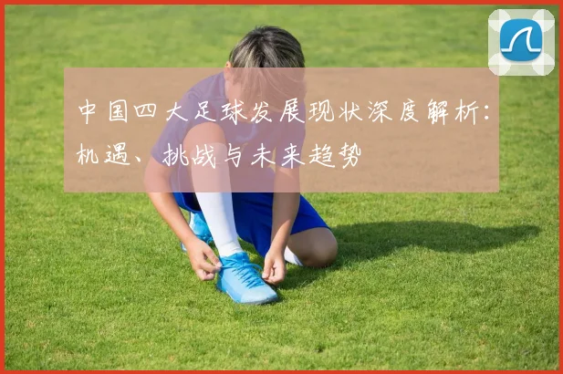 中国四大足球发展现状深度解析：机遇、挑战与未来趋势