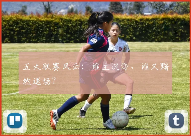 五大联赛风云:谁主沉浮,谁又黯然退场?